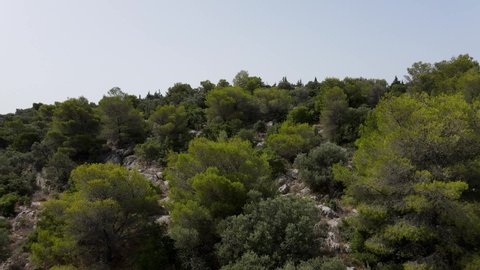 Aerial drone breathtaking view video of Argolis region in Peloponnese peninsula, Greece. Mediterranean vegetation landscape and blue calm ocean