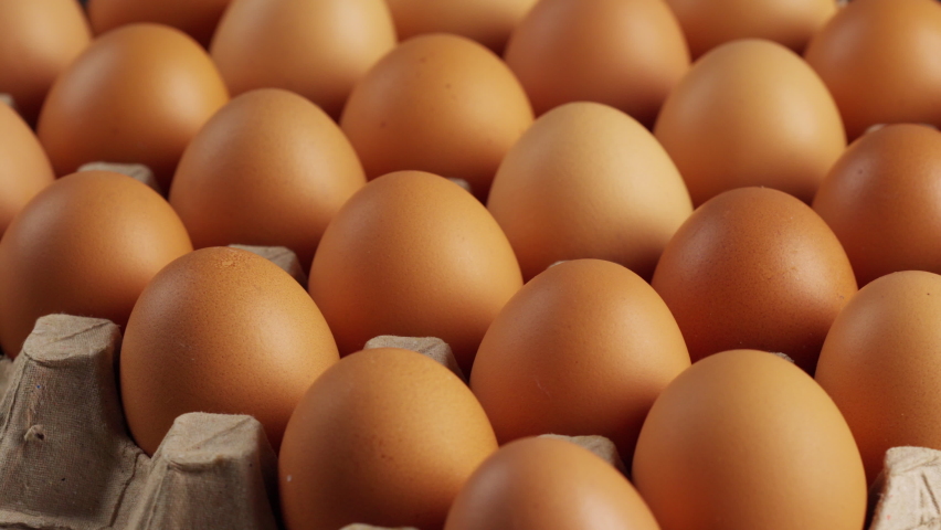 chicken eggs in cardboard, rotation shot Royalty-Free Stock Footage #1088304959