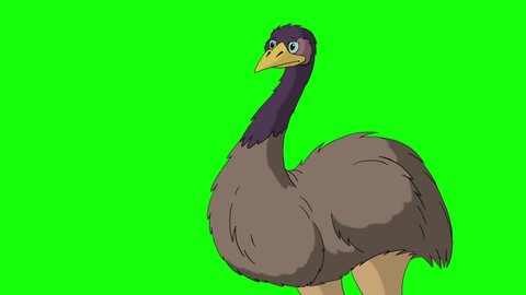 Gray ostrich screaming indignantly. Handmade animated HD footage isolated on green screen