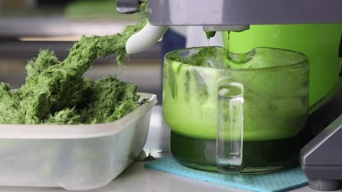 Extraction of wheatgrass and cake juice using a juicer. Electric juicer squeezes healthy juice from wheat germ. Squeezing healthy juice from raw micro-greenery close-up