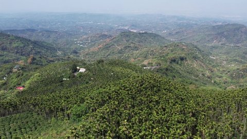 Aerial view of coffee and betel nut plantations on a mountainside in Tainan, Taiwan