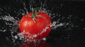 Tomato Falling onto Water-Covered Surface, Bouncing and Splashing Droplets in Slow Motion - Powered by Shutterstock - Get 15% off with code: PIKWIZARD15
