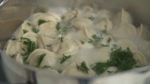 Homemade dumplings or ravioli with green dill. Cooking meat pelmeni traditional food dish in hot boiling water in a metal pot.