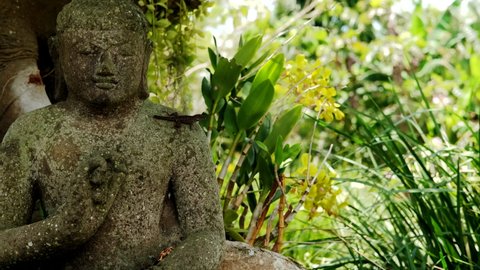Buddha statue in the rainforest, and salamander on the Buddha statue. Close up