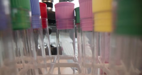 Scientist examines multicolored liquids in test tubes