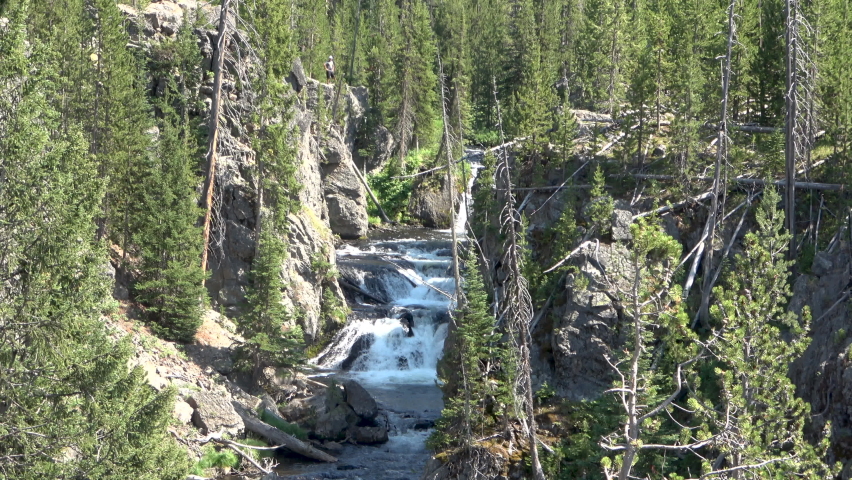 The Lower Falls in the Yellowstone National Park, Wyoming
