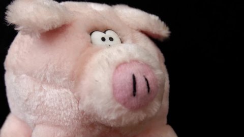Fluffy pink toy Pig HD 