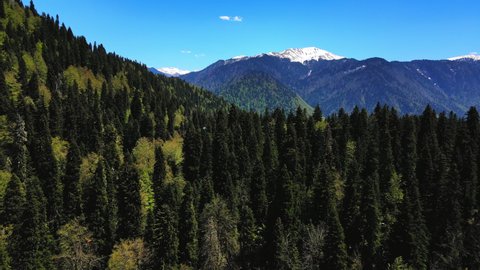 Mountain forest landscape aerial flight. Coniferous green trees cover the wild hills. Low viewing angle. Nature background. Travel, outdoor recreation, outdoor activities. Cinematic shot from a drone