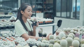 Business concept of 4k Resolution. The shop owner is selling cactus using a cell phone. Asian woman introducing a tree. selling products online.