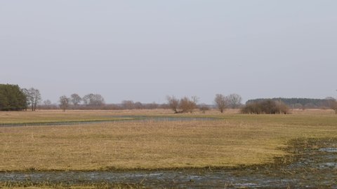 Backwaters in a spring meadow, 4K slomo