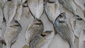 Pile of Fresh Sea Bream on Market Counter footage.