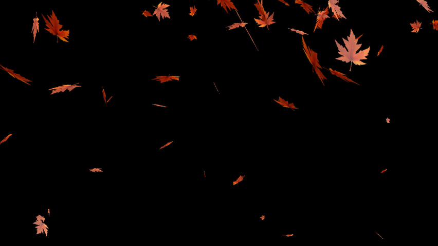 Real Autumn Leaf Leaves Falling with Alpha Royalty-Free Stock Footage #1088346677