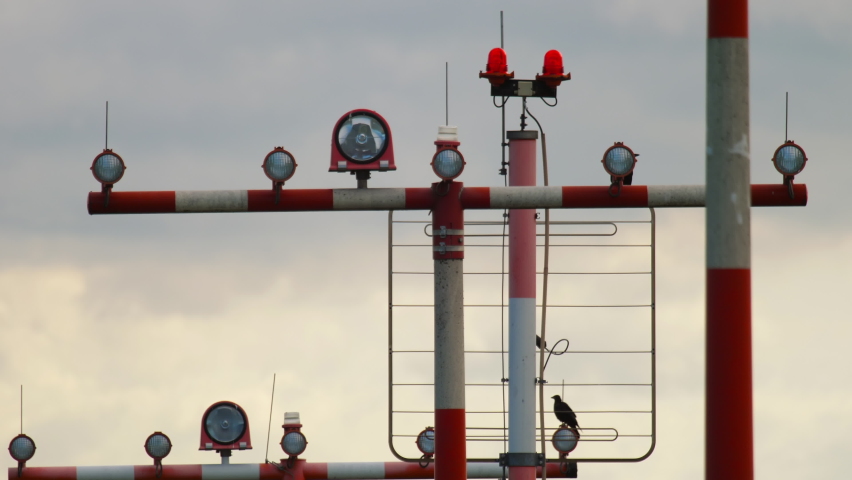 Lighting system at runway. Rows of guiding signal lights on foreground. Black bird on airport lighting equipment Royalty-Free Stock Footage #1088352613