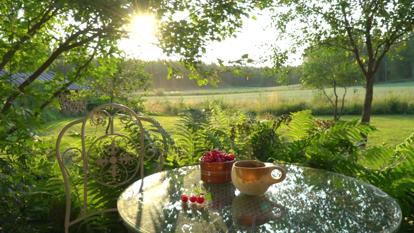 Cozy summer rural still life with wild cherry and hot tea in a wooden mug in the rays of setting sun. Soundscape with natural sounds ASMR ambience with cicadas, bees and cuckoo for peace and happiness Royalty-Free Stock Footage #1088352641