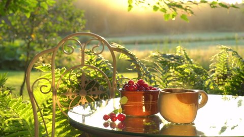 Cozy summer rural still life with wild cherry and hot tea in a wooden mug in the rays of setting sun. Soundscape with natural sounds ASMR ambience with cicadas, bees and cuckoo for peace and happiness