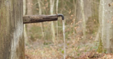 Old rustic drinkable water fountain in a forest. Water stream flowing from metal faucet, real time, no people