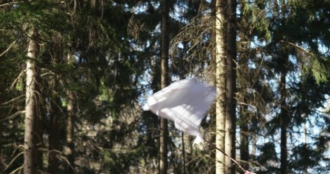 White peace or surrender flag being waived by male hand outside in a forest. White cloth rag on a chopped wooden stick, nature background, real time