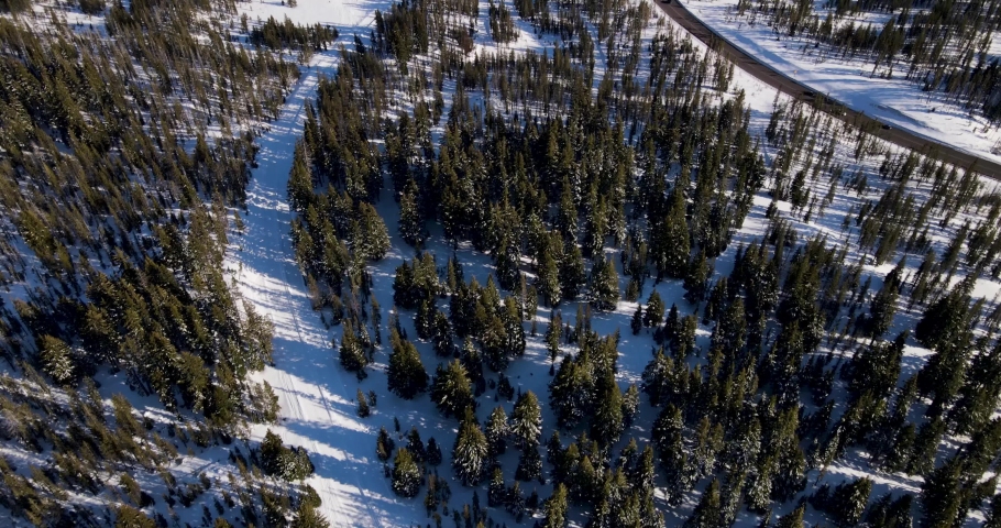 Aerial shot of a dense forest in Oregon