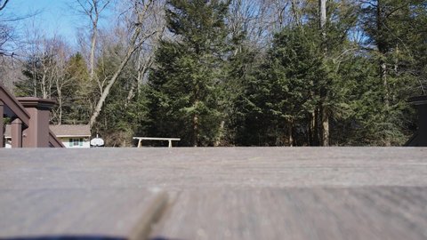 A drone taking off (POV) from a deck in early spring.