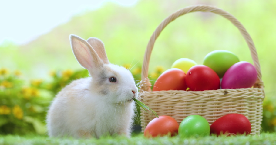 Super Cute Shabby Baby Bunny with Easter Basket Grass · Creative Fabrica