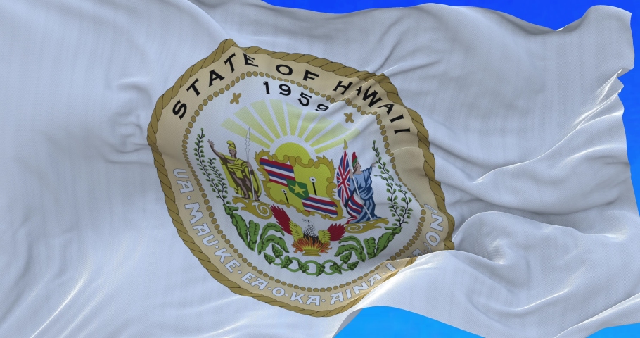 Beautiful waving flag of Hawaii.