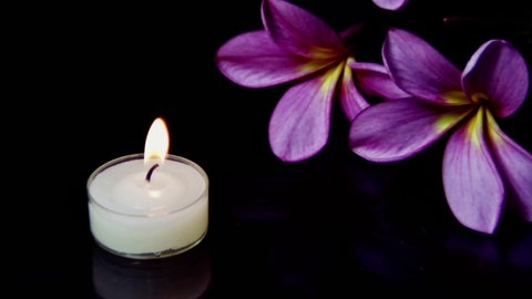 Candle Light With Pink Plumeria for Spa  Massage Therapy
