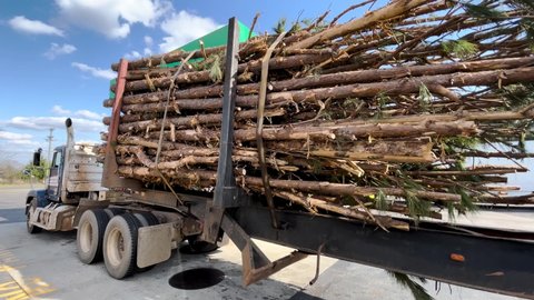 Augusta, Ga USA - 03 04 22: Pan of a parked logging semi truck with a full load of logs