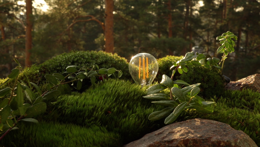 The human hand sticks the plug into in the green moss and energy-saving light bulb lights up among the greenery of the virgin northern forest, drawing energy from the nature. | Shutterstock HD Video #1088390009