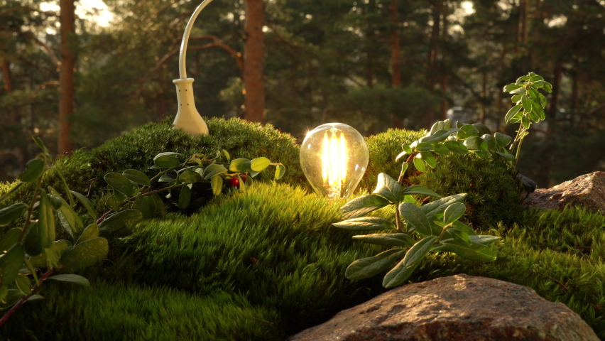 The human hand sticks the plug into in the green moss and energy-saving light bulb lights up among the greenery of the virgin northern forest, drawing energy from the nature. | Shutterstock HD Video #1088390009