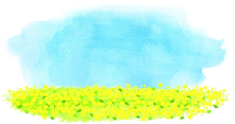 Watercolor canola flower field and blue sky looping animation