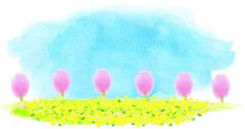 Watercolor canola flower and cherry blossom looping animation