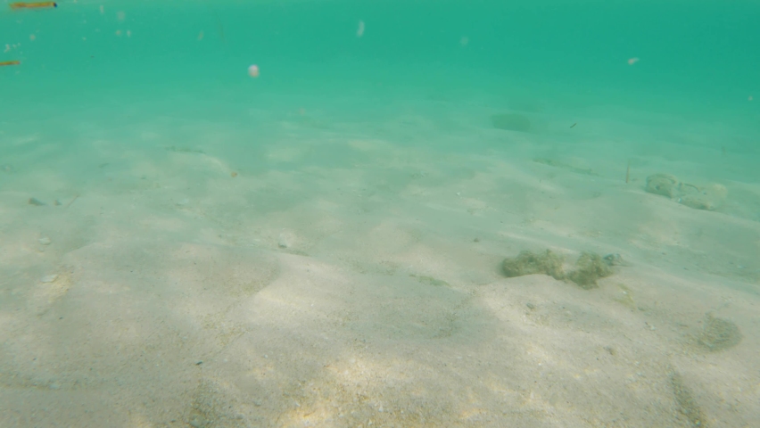 Unstable live camera shot of modern smartphone sinking under ocean water and diving into white sand with texture of sun dogs. Waterproof mobile phone. A modern smartphone is drowning in the ocean.  | Shutterstock HD Video #1088391981