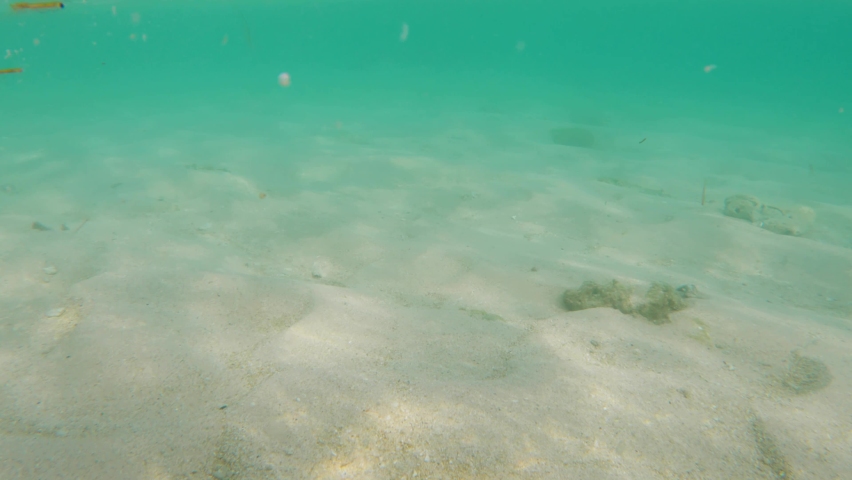 Unstable live camera shot of modern smartphone sinking under ocean water and diving into white sand with texture of sun dogs. Waterproof mobile phone. A modern smartphone is drowning in the ocean.  Royalty-Free Stock Footage #1088391981