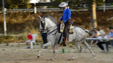 Alhaurin de la Torre, Malaga Spain - 07 08 2017: Andalusian horse and rider performing galloping at an equestrian exhibition