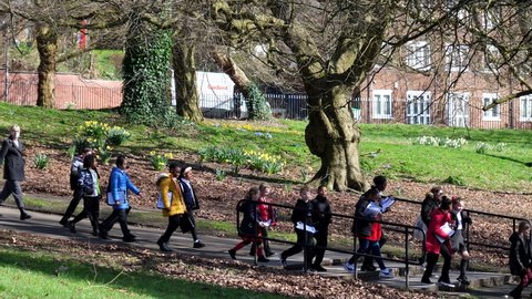 SALFORD, ENGLAND, UNITED KINGDOM - 03.18.2022: Big group of school children and teachers walking in a long line down the stairs in the city park in spring, handheld camera.