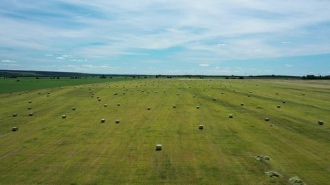 Aerial view of Haystack on field. Hay bale from residues grass. Hay stack for agriculture. Hay in rolls after combine harvester working in wheat field. Harvest season. Haystacks making.