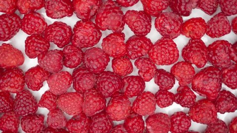 Close up rotation raspberry Macro red fresh raspberries fruit Rotation. raspberries are spinning in close-up. Juicy healthy berry for healthy diet. 