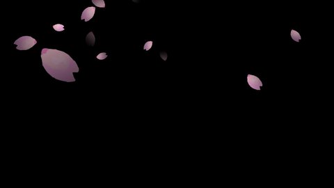 watercolor cherry blossom petals falling at night looping animation