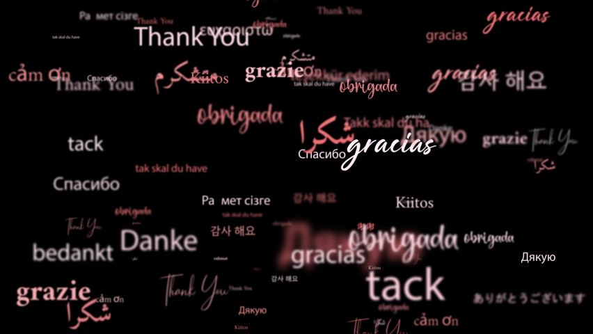 Animation loop of Thank you in different kind of Languages word related red pink word flowing. Element for intro, title banner on black background 
