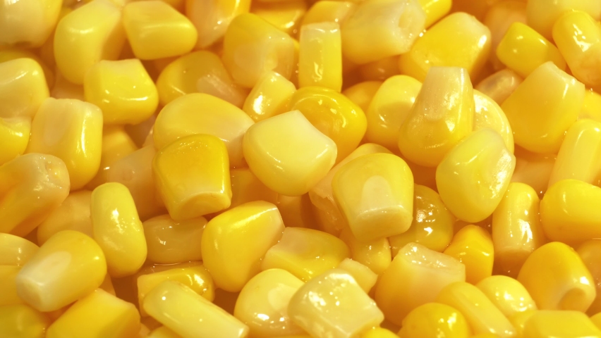 Rotating sweet corn grains background Royalty-Free Stock Footage #1088427793