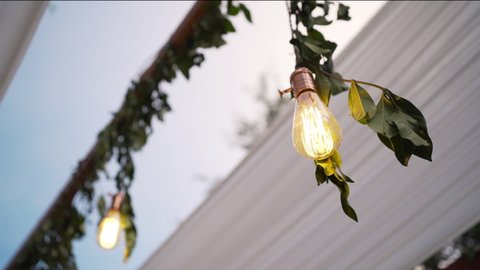 Hanging light bulb Wedding  decoration under tree outdoor party. String lights electric garland  bulbs warm white theme wedding tent of  night ceremony.