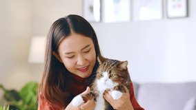 Young Asian woman and her pet, cat talking on facetime, video call at home, look at camera webcam view