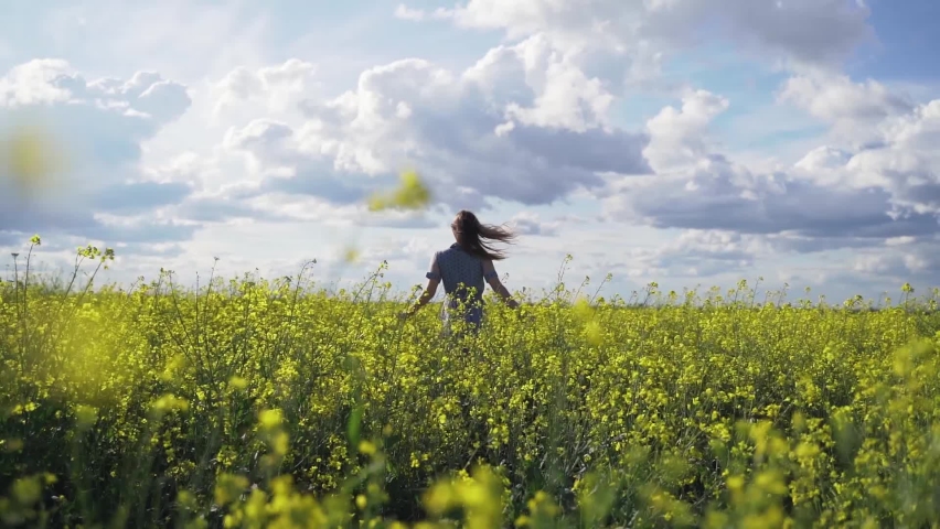 Shutterstock Video