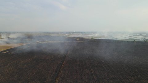 A reverse aerial footage revealing a vast portion of a farm land already tilled charred after burning, Grassland Burning, Pak Pli, Nakhon Nayok, Thailand.