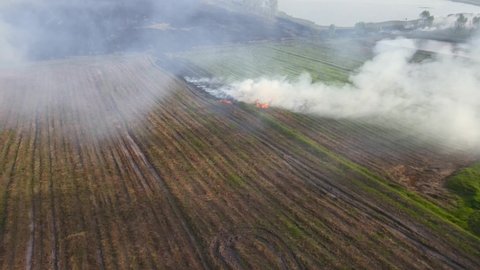 Aerial footage towards and above a burning grassland ready for farming, Grassland Burning, Pak Pli, Nakhon Nayok, Thailand.