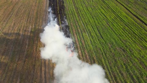 Aerial footage sliding to the left of a row of grass burning and creating white polluting smoke, Grassland Burning, Pak Pli, Nakhon Nayok, Thailand.