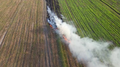 Aerial footage of smoke blown by the wind a potential pollution of the air as farmers burn grass to ready the land for planting, Grassland Burning, Pak Pli, Nakhon Nayok, Thailand.
