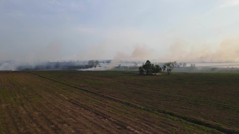 Aerial descending footage from a distance of grass burning and smoke blown by the wind to the right, Grassland Burning, Pak Pli, Nakhon Nayok, Thailand.