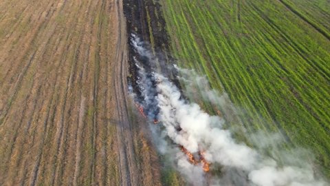 Steady aerial footage of rows of grass being burned for farming which is making air pollution, Grassland Burning, Pak Pli, Nakhon Nayok, Thailand.