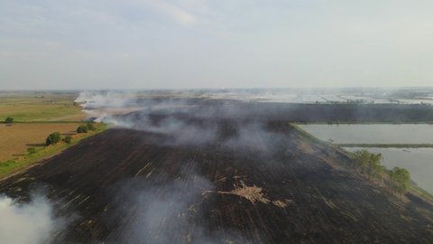 Reverse aerial footage of charred farmlands with smoke blown to the right as the landscape reveals, Grassland Burning, Pak Pli, Nakhon Nayok, Thailand.